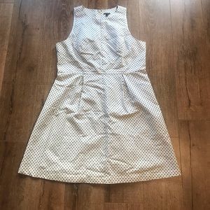 Ann Taylor A-Line Dress! So cute!